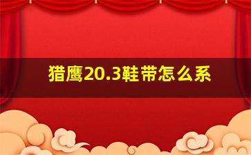 猎鹰20.3鞋带怎么系