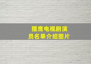 猎鹰电视剧演员名单介绍图片