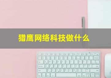 猎鹰网络科技做什么