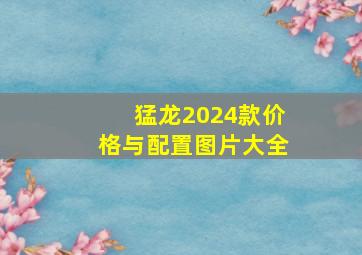 猛龙2024款价格与配置图片大全