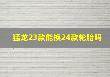 猛龙23款能换24款轮胎吗