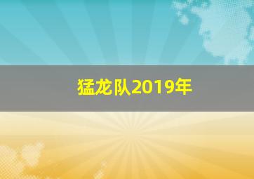 猛龙队2019年