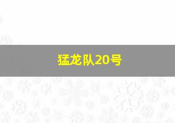 猛龙队20号