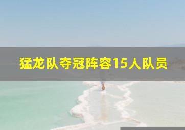 猛龙队夺冠阵容15人队员