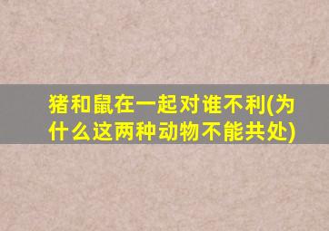 猪和鼠在一起对谁不利(为什么这两种动物不能共处)