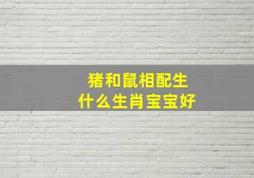 猪和鼠相配生什么生肖宝宝好