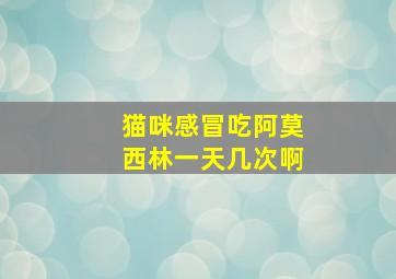 猫咪感冒吃阿莫西林一天几次啊