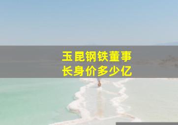 玉昆钢铁董事长身价多少亿