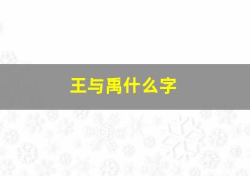 王与禹什么字