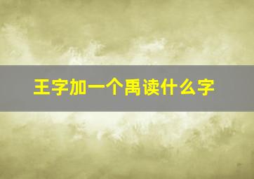 王字加一个禹读什么字