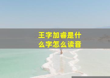 王字加睿是什么字怎么读音