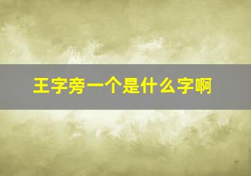 王字旁一个是什么字啊