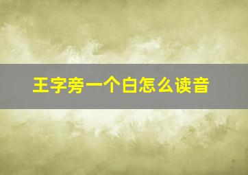 王字旁一个白怎么读音