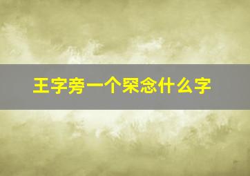 王字旁一个罙念什么字