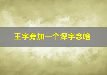 王字旁加一个深字念啥