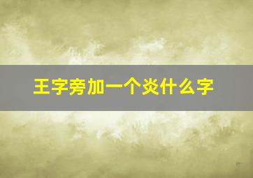 王字旁加一个炎什么字