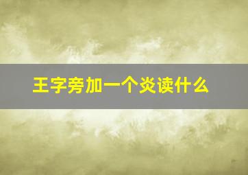 王字旁加一个炎读什么