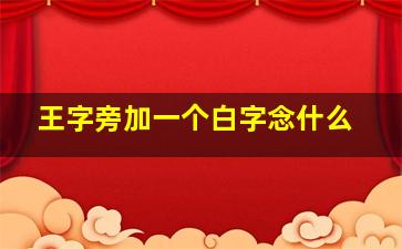 王字旁加一个白字念什么