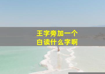 王字旁加一个白读什么字啊