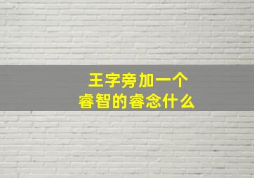 王字旁加一个睿智的睿念什么