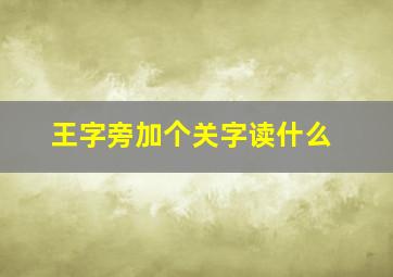 王字旁加个关字读什么