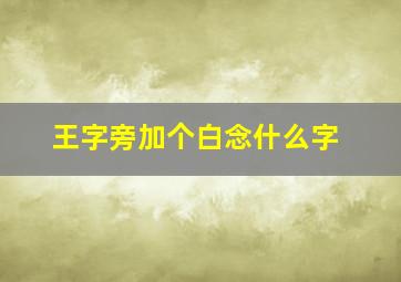 王字旁加个白念什么字