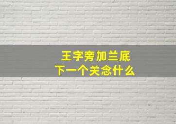 王字旁加兰底下一个关念什么