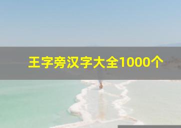 王字旁汉字大全1000个