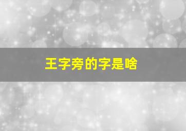 王字旁的字是啥