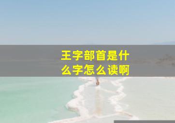 王字部首是什么字怎么读啊