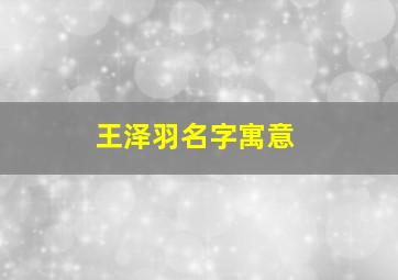 王泽羽名字寓意