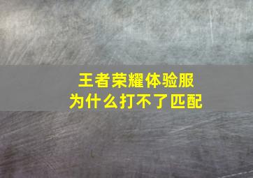 王者荣耀体验服为什么打不了匹配