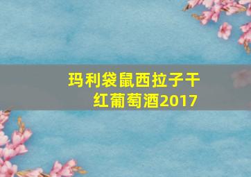 玛利袋鼠西拉子干红葡萄酒2017