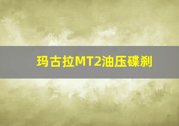 玛古拉MT2油压碟刹