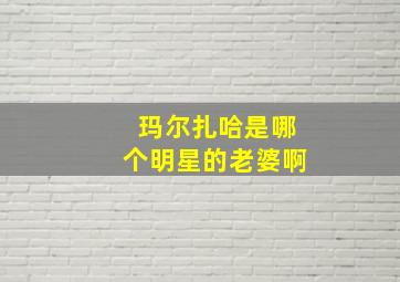 玛尔扎哈是哪个明星的老婆啊