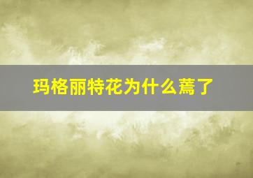 玛格丽特花为什么蔫了