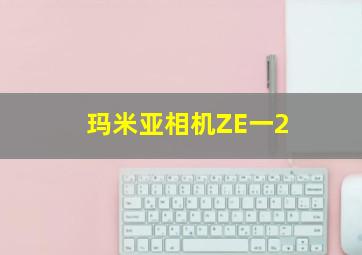 玛米亚相机ZE一2