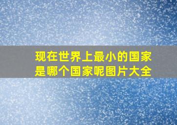 现在世界上最小的国家是哪个国家呢图片大全