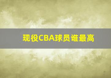 现役CBA球员谁最高