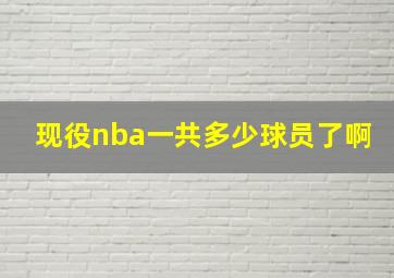 现役nba一共多少球员了啊