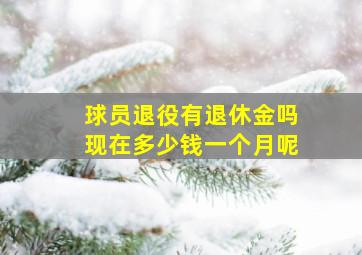 球员退役有退休金吗现在多少钱一个月呢