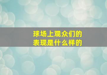 球场上观众们的表现是什么样的