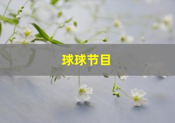 球球节目