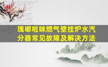 瑰嘟啦咪燃气壁挂炉水汽分器常见故障及解决方法