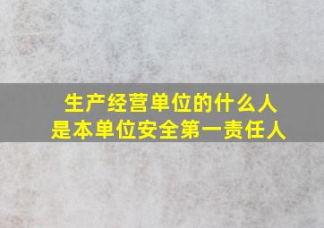 生产经营单位的什么人是本单位安全第一责任人