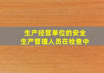 生产经营单位的安全生产管理人员在检查中