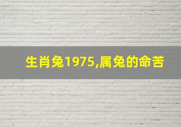 生肖兔1975,属兔的命苦