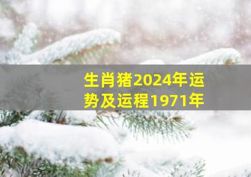 生肖猪2024年运势及运程1971年