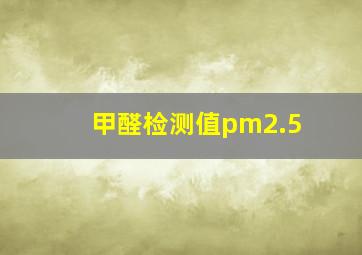 甲醛检测值pm2.5