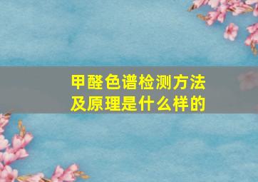 甲醛色谱检测方法及原理是什么样的